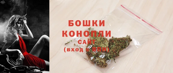 Альфа ПВП Белокуриха