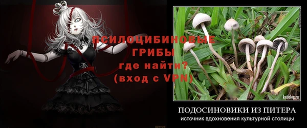 2c-b Пестово
