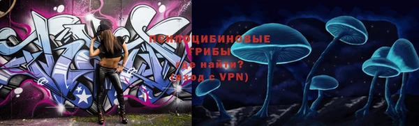 твердый Белоозёрский